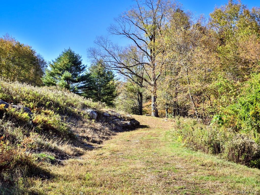 #18 photo, TBD State Route 55 and Smith Lane, Neversink , NY 12765