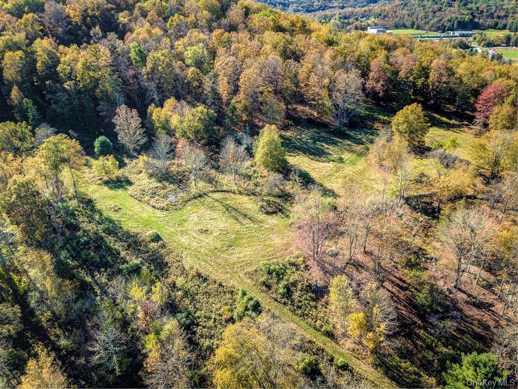 #4 photo, TBD State Route 55 and Smith Lane, Neversink , NY 12765