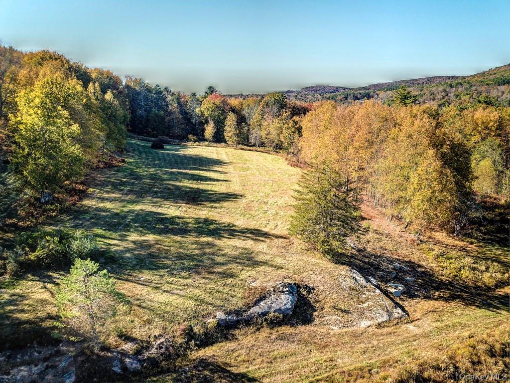 #8 photo, TBD State Route 55 and Smith Lane, Neversink , NY 12765