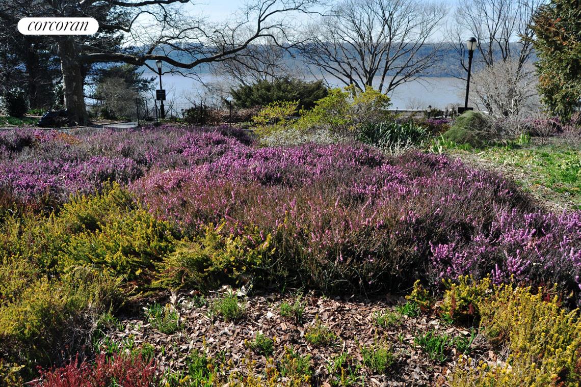 #20 photo, New York City, マンハッタン Hudson Heights , NY 10033