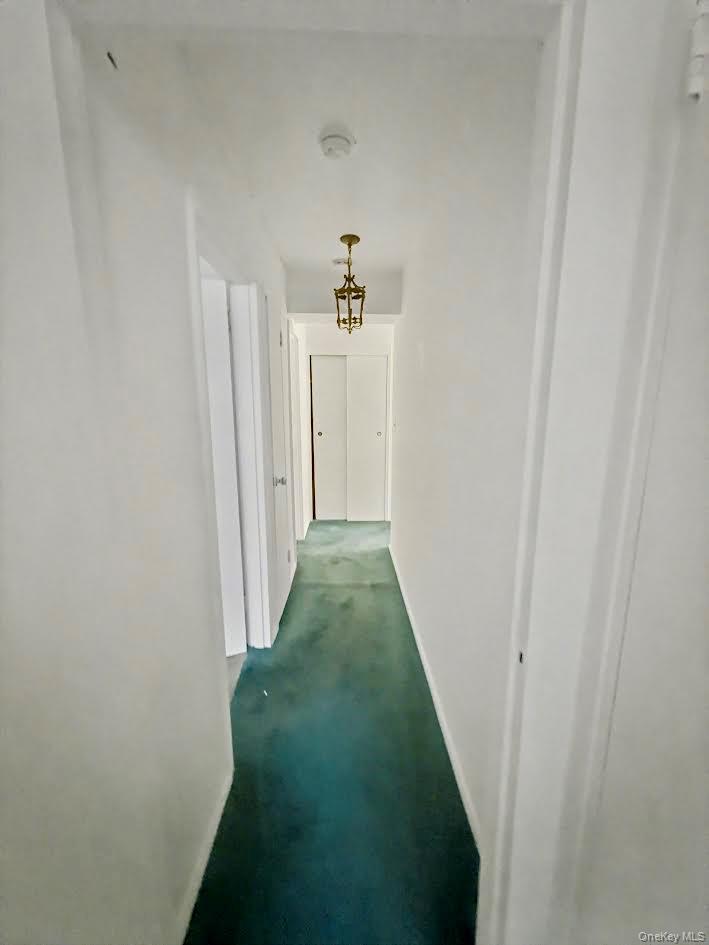 #8 photo, 88-08 151 Ave, クイーンズ区 Lindenwood , NY 11414