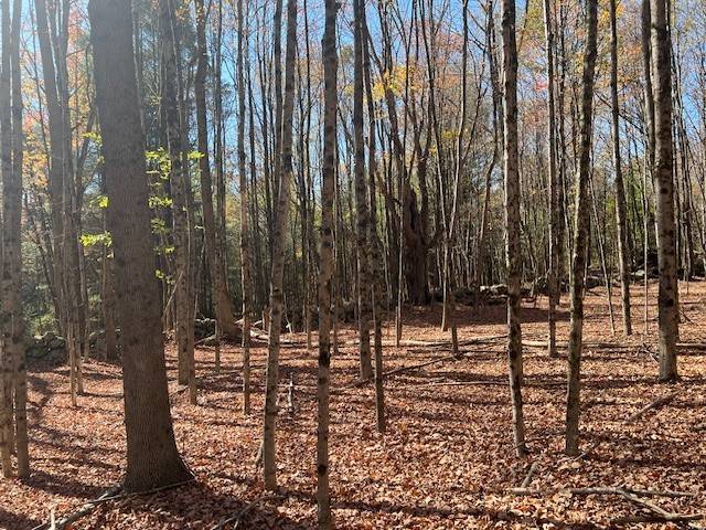 #12 photo, 220-2 Belden Corners Rd, Dolgeville , NY 13329