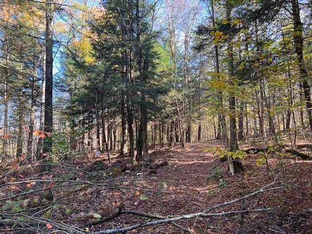 #14 photo, 220-2 Belden Corners Rd, Dolgeville , NY 13329