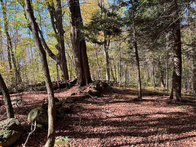 #17 photo, 220-2 Belden Corners Rd, Dolgeville , NY 13329