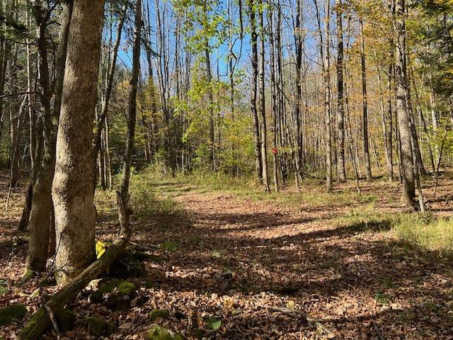 #18 photo, 220-2 Belden Corners Rd, Dolgeville , NY 13329