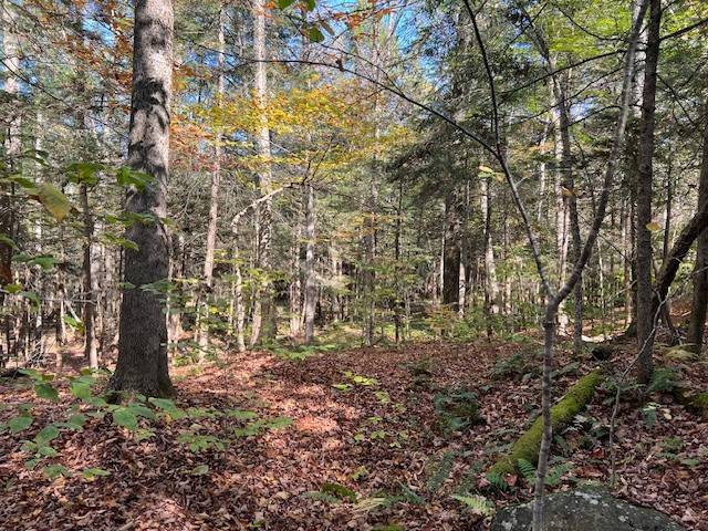 #19 photo, 220-2 Belden Corners Rd, Dolgeville , NY 13329