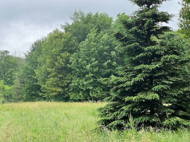 #22 photo, 220-2 Belden Corners Rd, Dolgeville , NY 13329