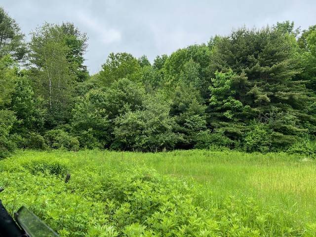 #23 photo, 220-2 Belden Corners Rd, Dolgeville , NY 13329