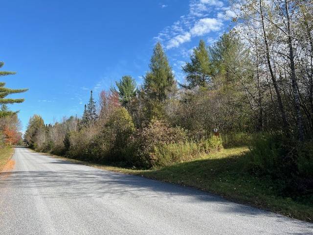 #3 photo, 220-2 Belden Corners Rd, Dolgeville , NY 13329