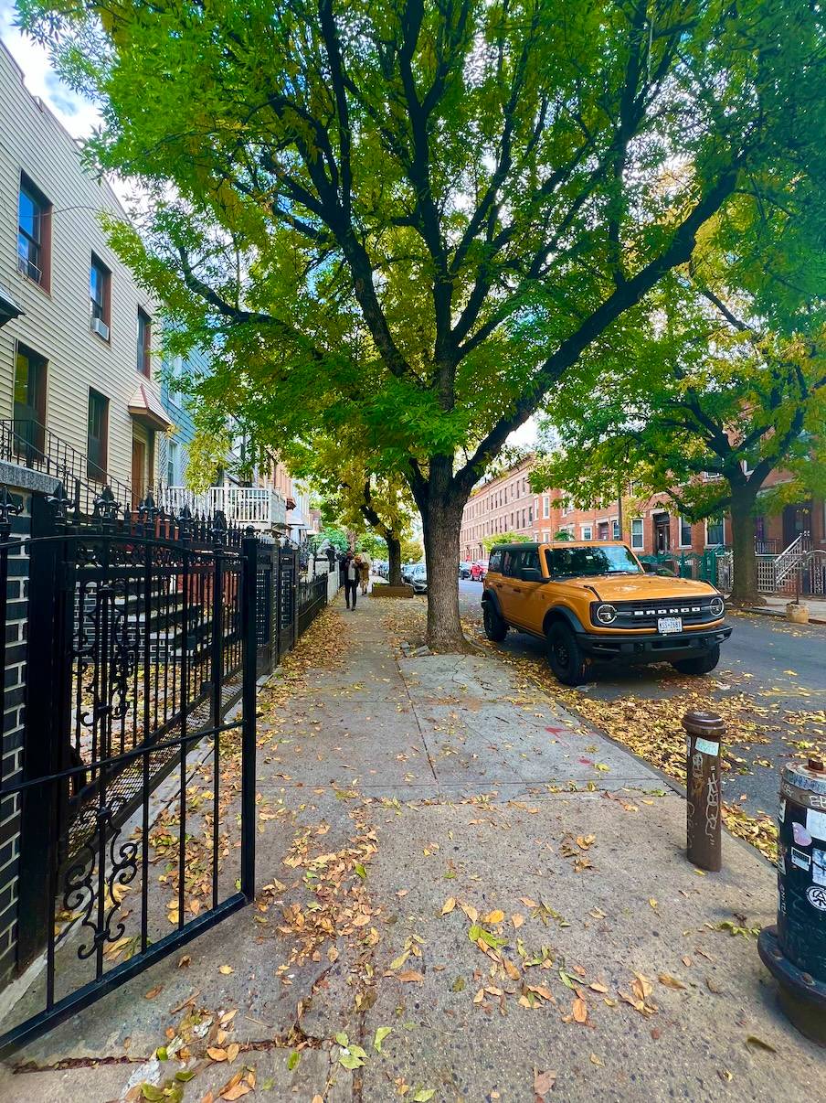 #15 photo, 203 Moffat Street, #3, ブルックリン区 Bushwick , NY 11207