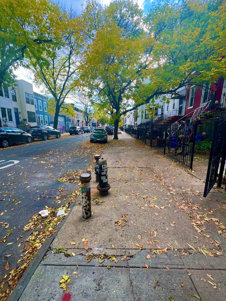 #16 photo, 203 Moffat Street, #3, ブルックリン区 Bushwick , NY 11207