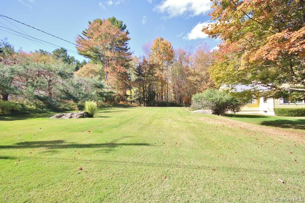 #4 photo, 93 Downs Road, Monticello , NY 12701