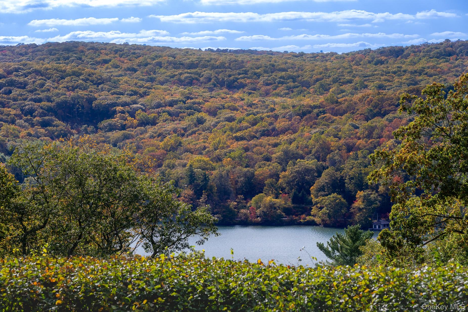 #3 photo, 62 Circuit Road, Tuxedo Park , NY 10987