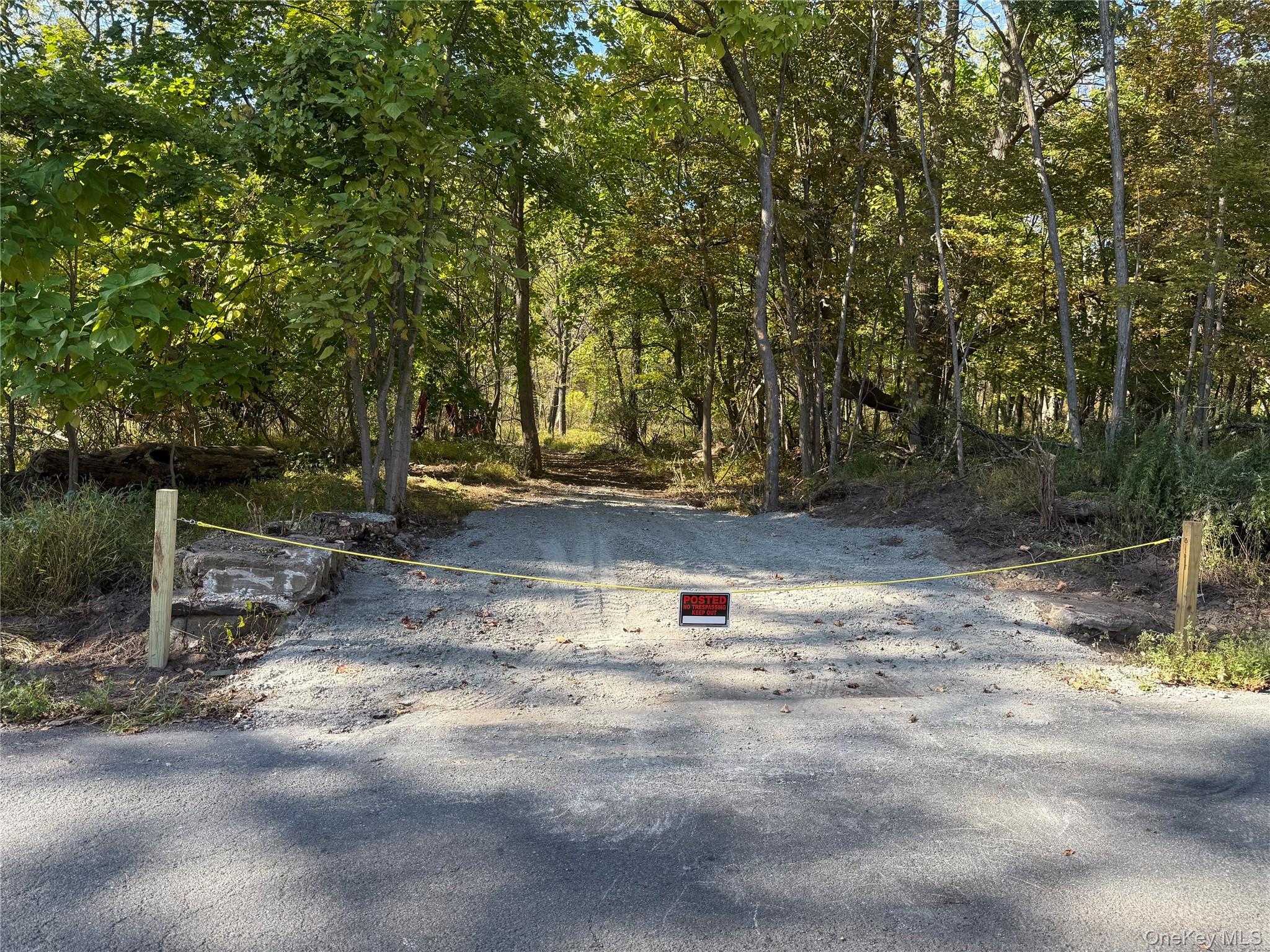 #2 photo, TBD Country Club, Ellenville , NY 12428