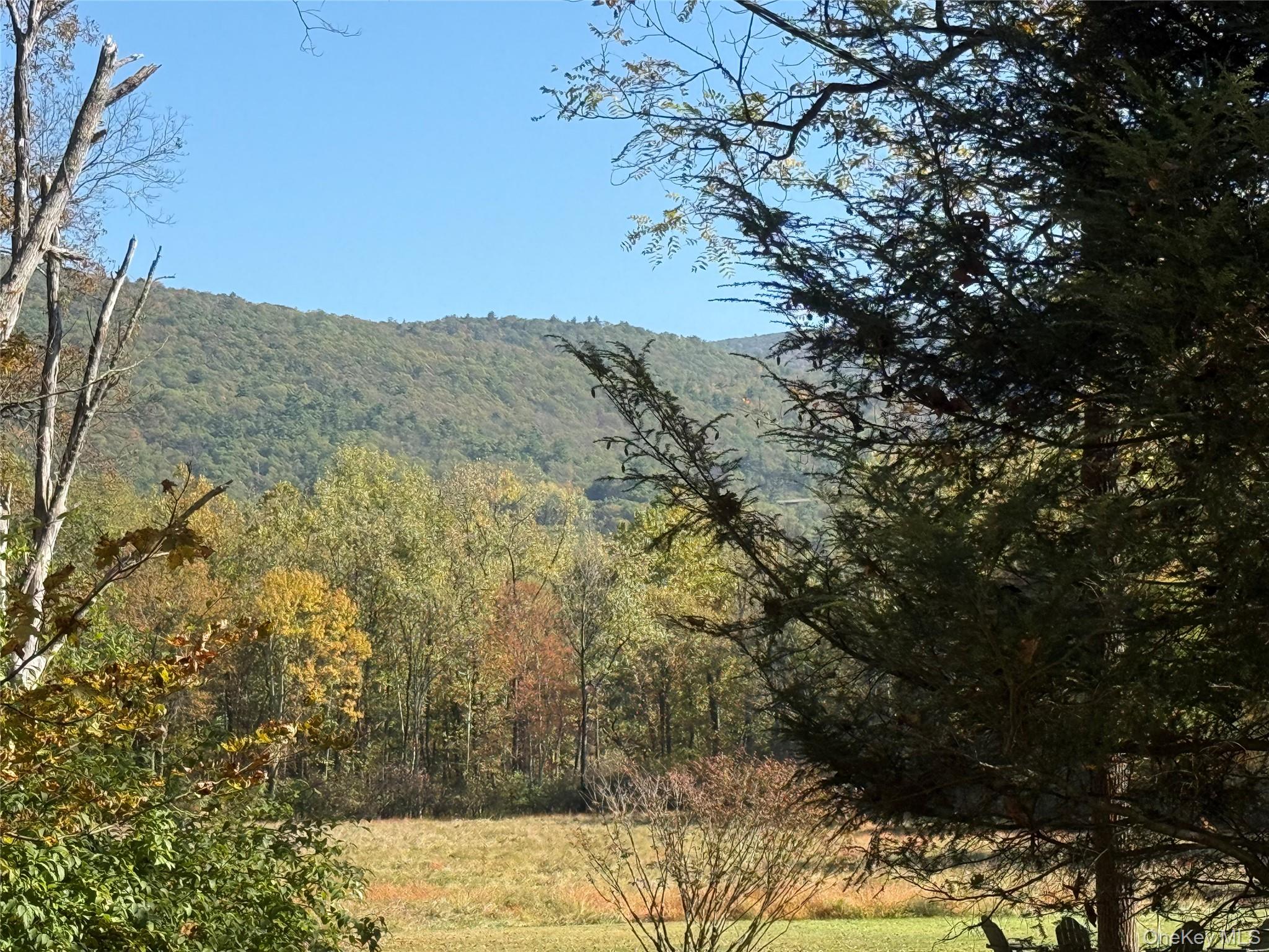 #3 photo, TBD Country Club, Ellenville , NY 12428