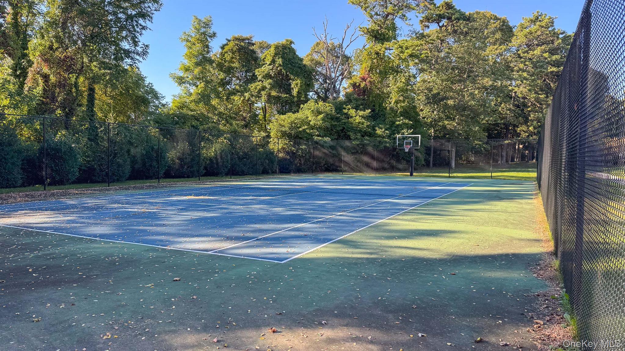 #17 photo, 655 Middle Country Road, 东长岛 科勒姆 Coram , NY 11727