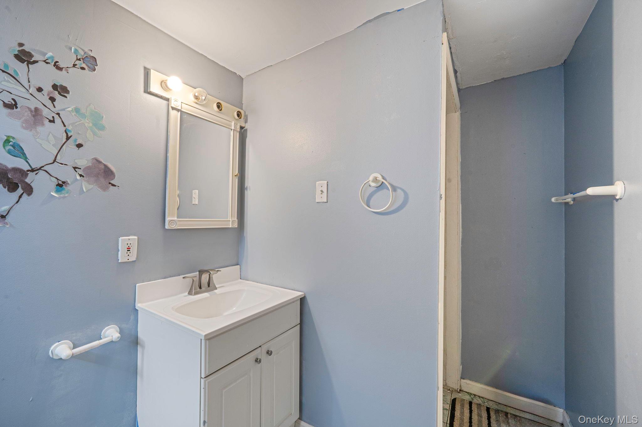 #13 photo, 197 E 2nd Street, サフォーク郡 Deer Park , NY 11729