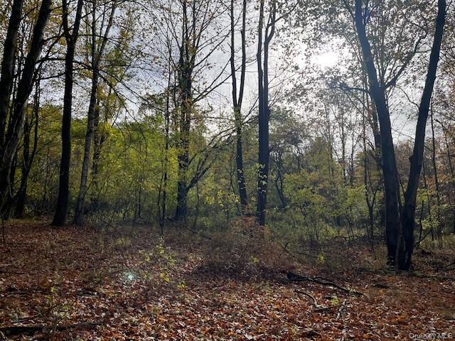 #10 photo, Ferndale Loomis Road, Liberty , NY 12754