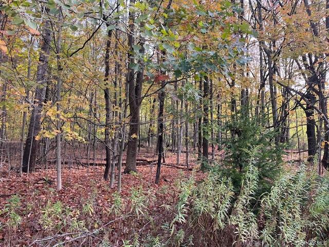 #11 photo, Ferndale Loomis Road, Liberty , NY 12754