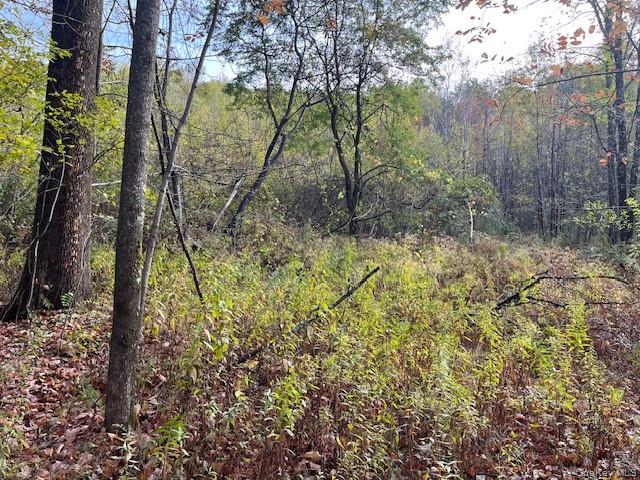 #3 photo, Ferndale Loomis Road, Liberty , NY 12754