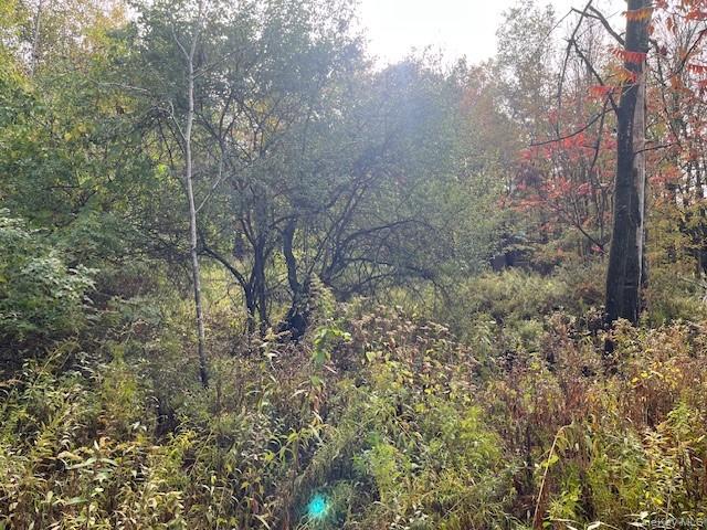 #4 photo, Ferndale Loomis Road, Liberty , NY 12754