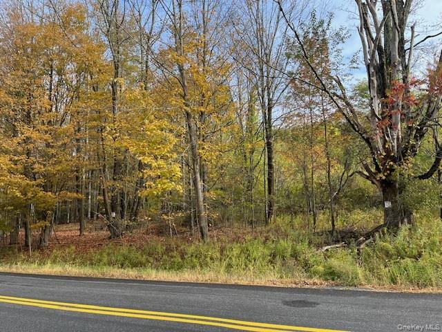 #6 photo, Ferndale Loomis Road, Liberty , NY 12754