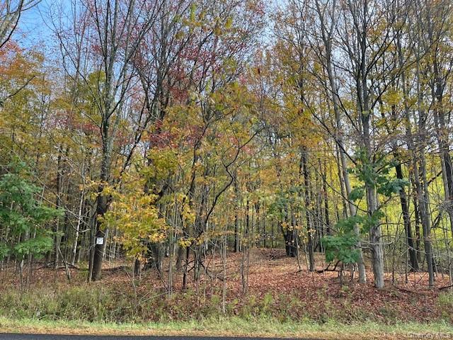 #7 photo, Ferndale Loomis Road, Liberty , NY 12754