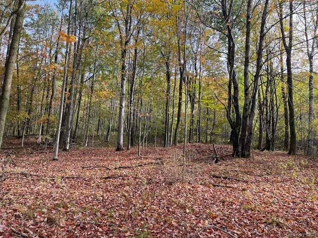 #8 photo, Ferndale Loomis Road, Liberty , NY 12754