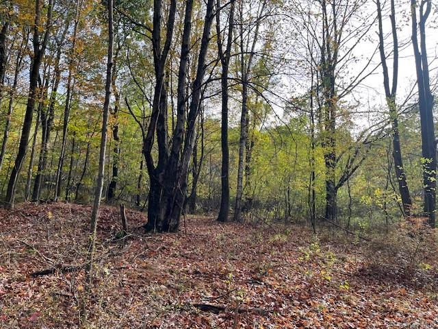 #9 photo, Ferndale Loomis Road, Liberty , NY 12754