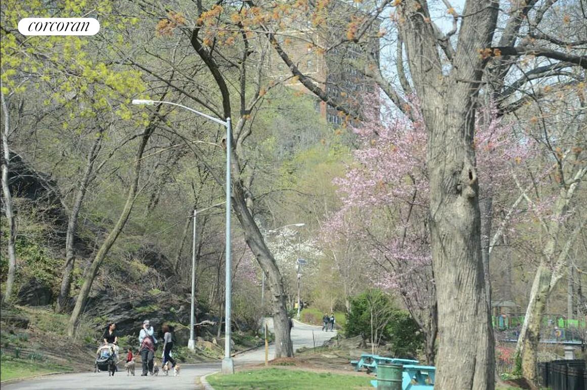 #11 photo, 321 W 110TH Street, マンハッタン South Harlem , NY 10026