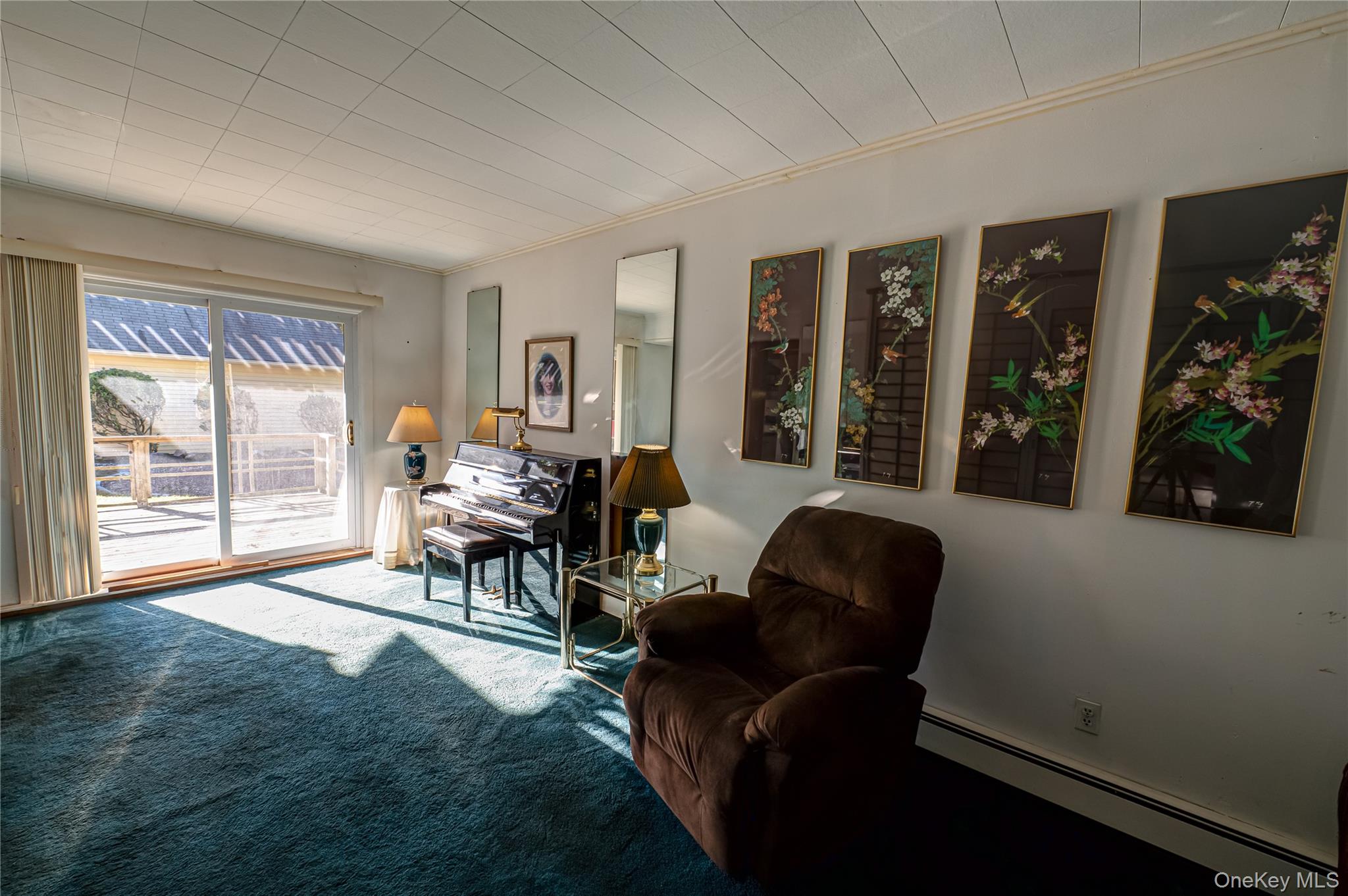 #19 photo, 424 Evergreen Avenue, サフォーク郡 Hauppauge , NY 11788