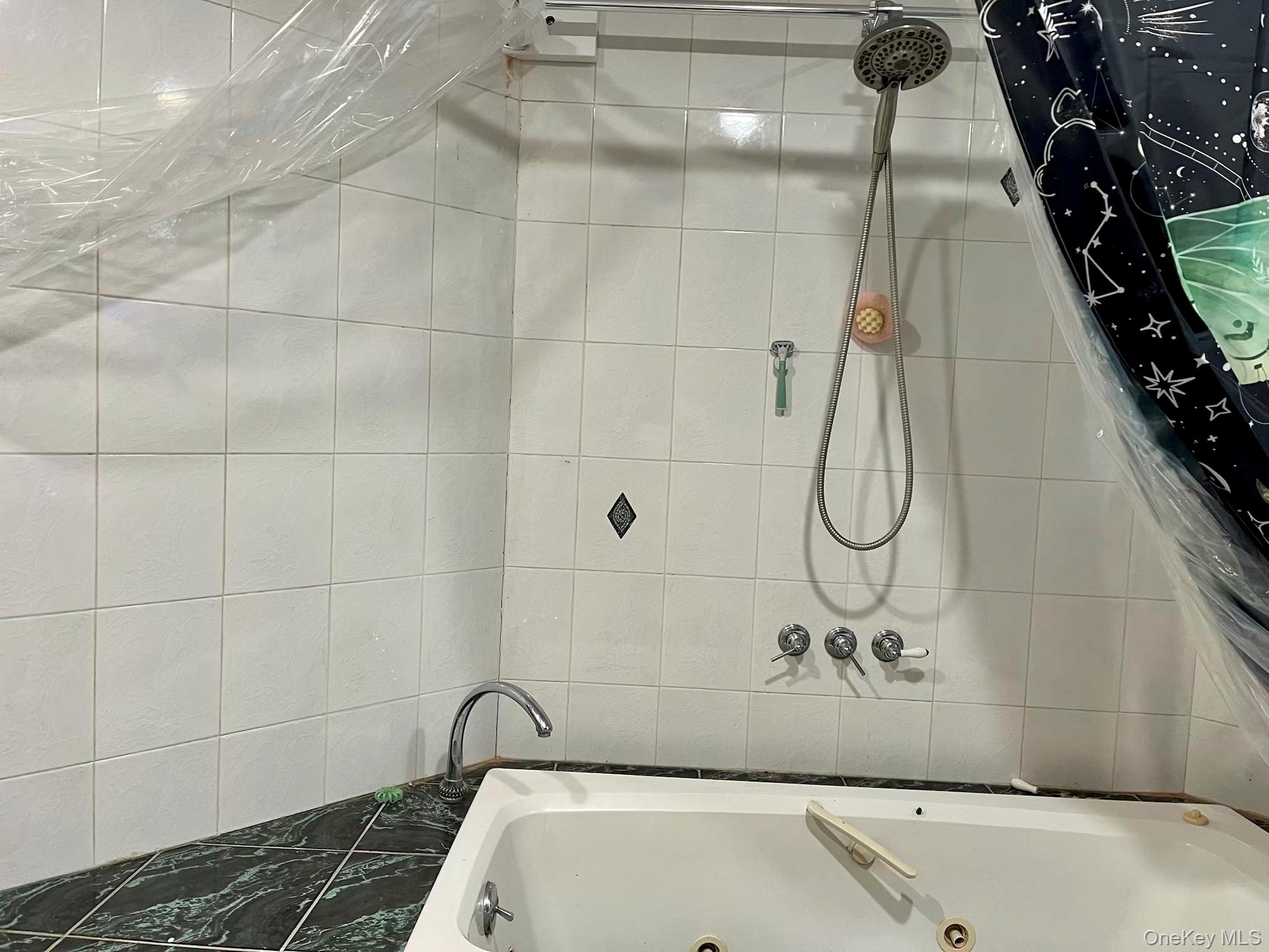 #16 photo, 87 9th Avenue, サフォーク郡 Holtsville , NY 11742