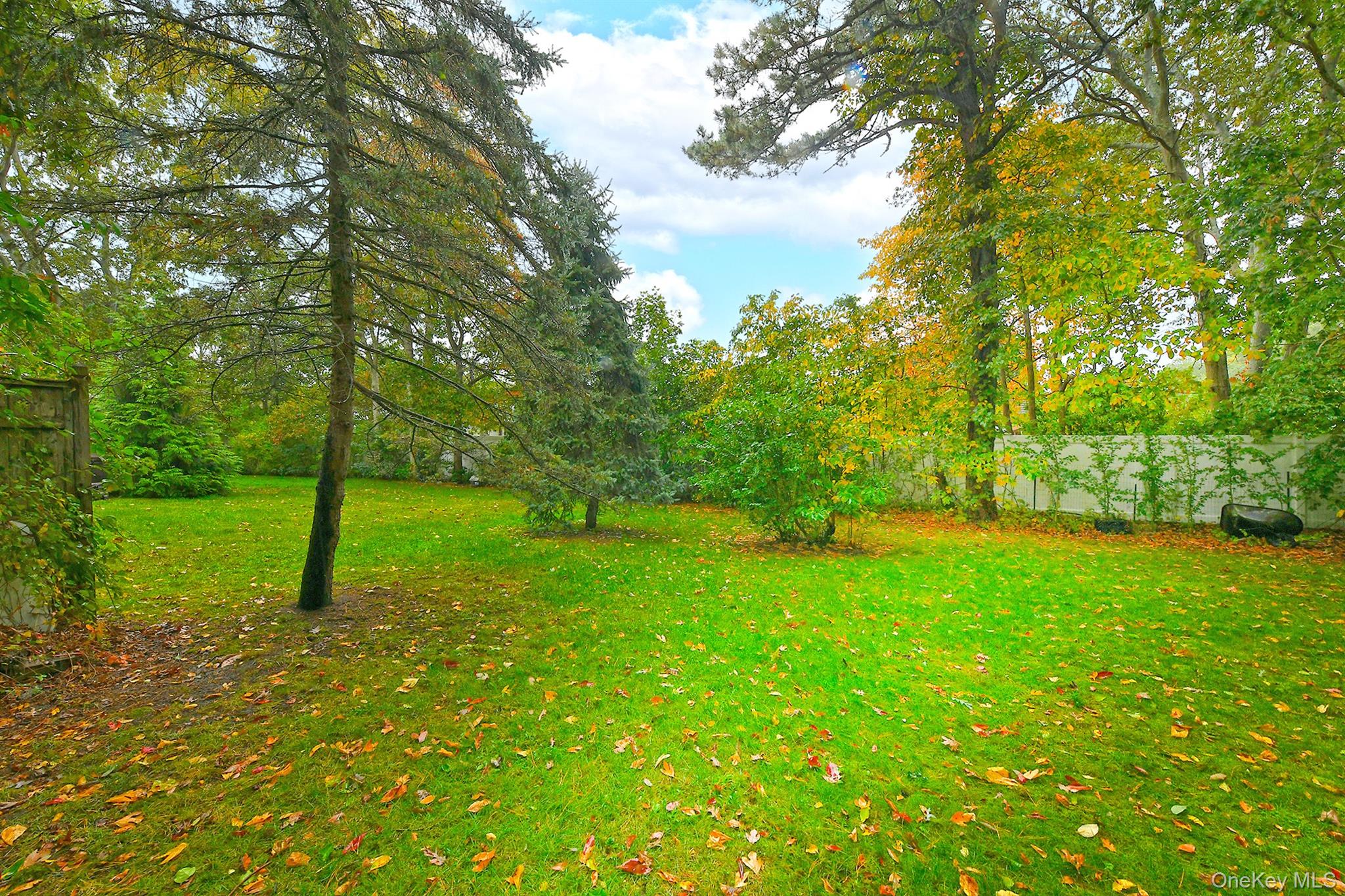 #19 photo, 87 9th Avenue, サフォーク郡 Holtsville , NY 11742