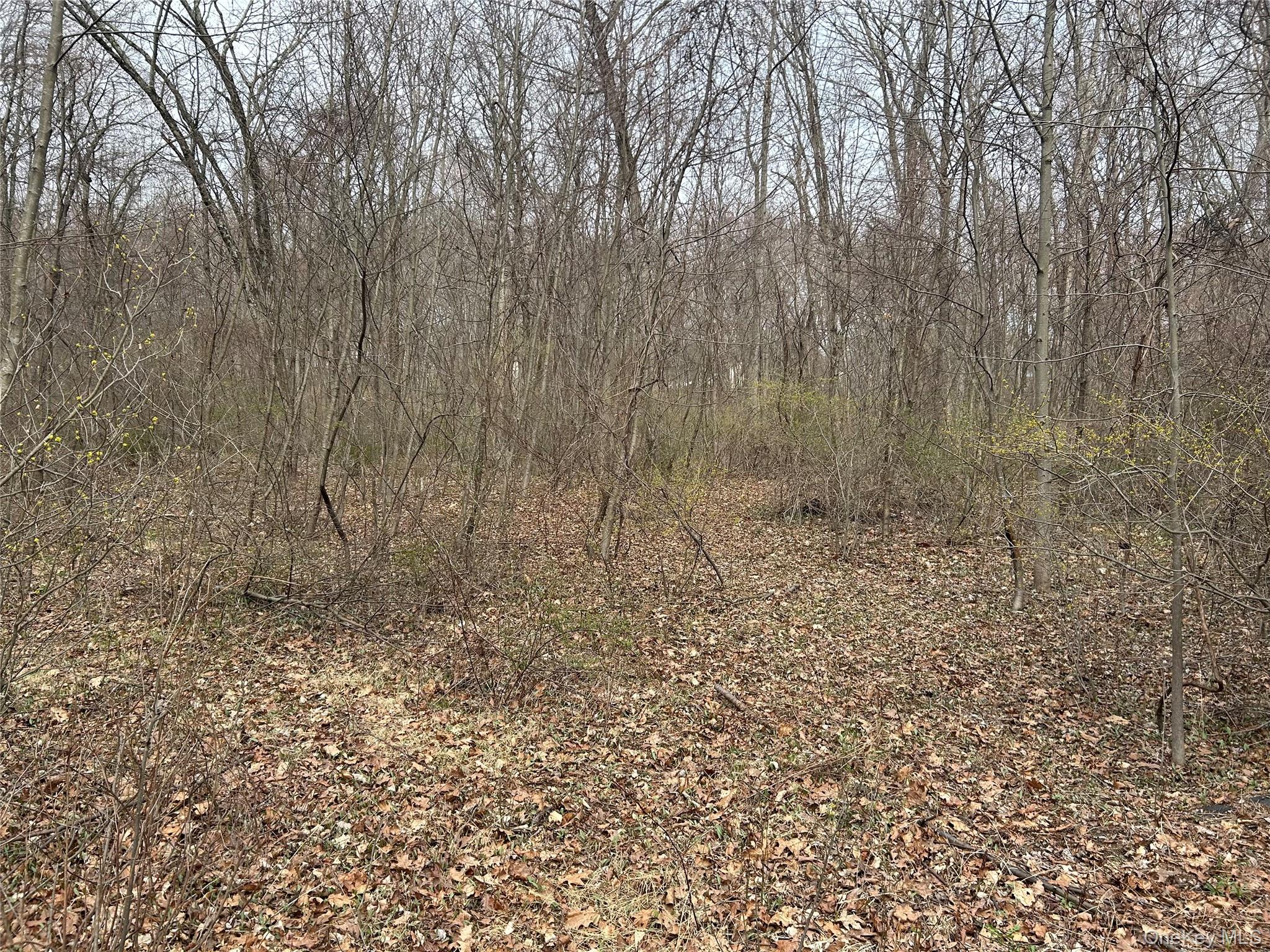 #10 photo, 67 Jackson Road, Poughkeepsie , NY 12603