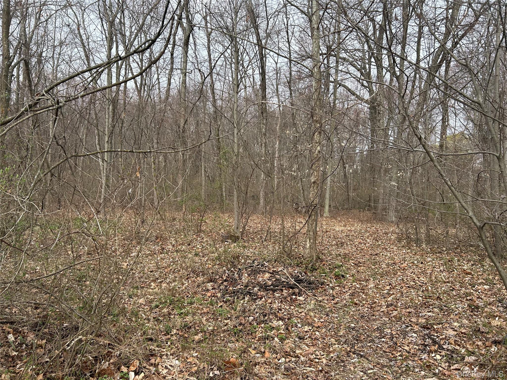 #11 photo, 67 Jackson Road, Poughkeepsie , NY 12603