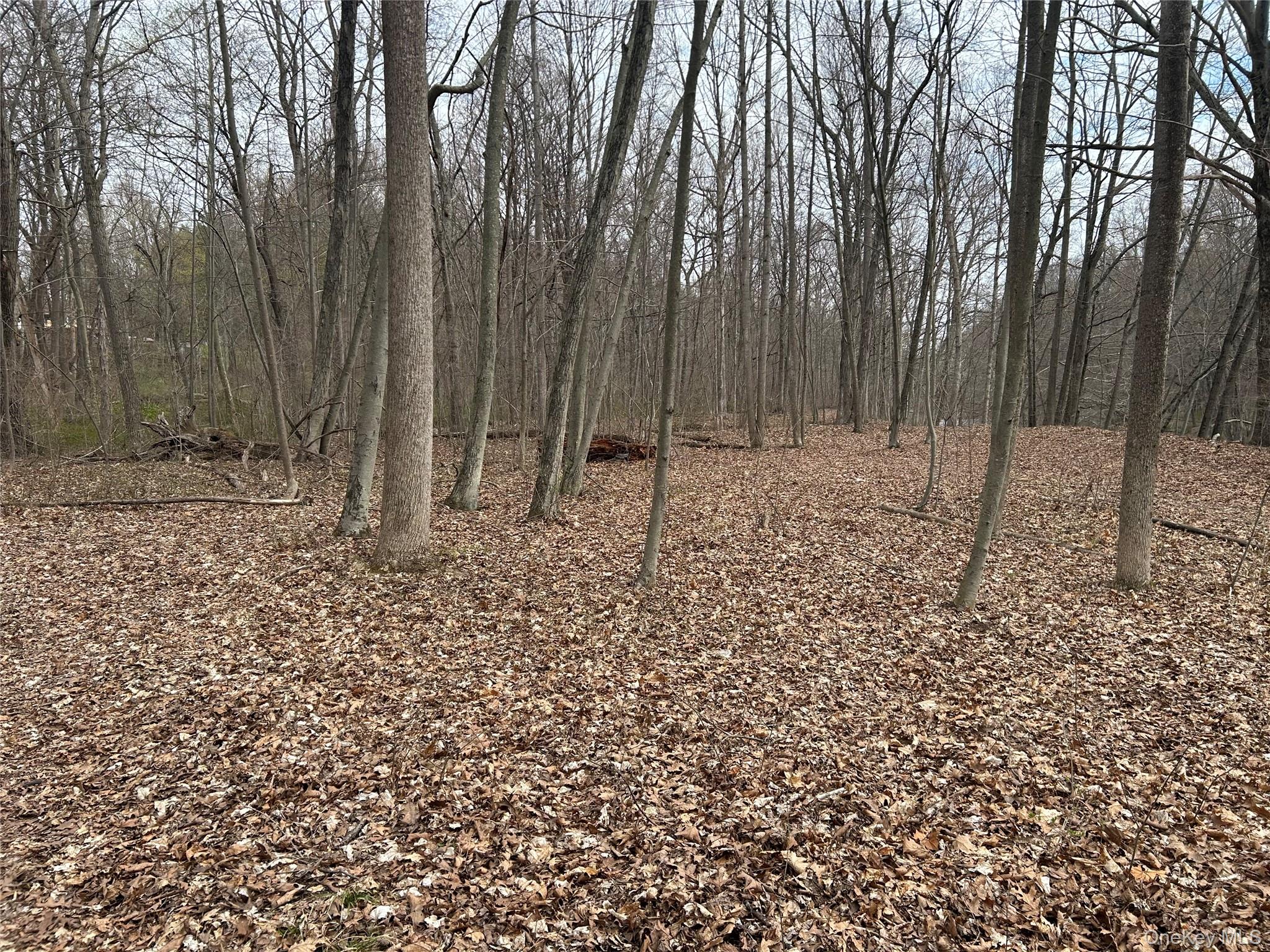 #14 photo, 67 Jackson Road, Poughkeepsie , NY 12603