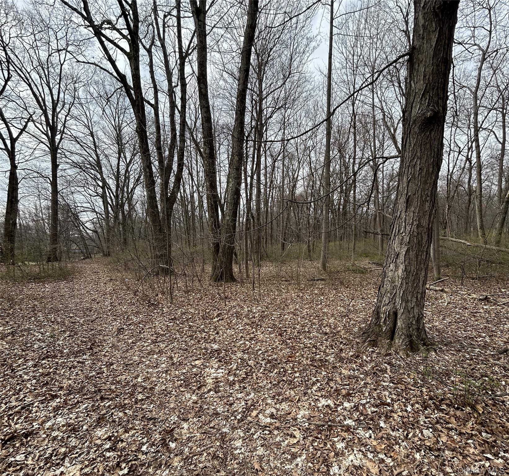 #15 photo, 67 Jackson Road, Poughkeepsie , NY 12603