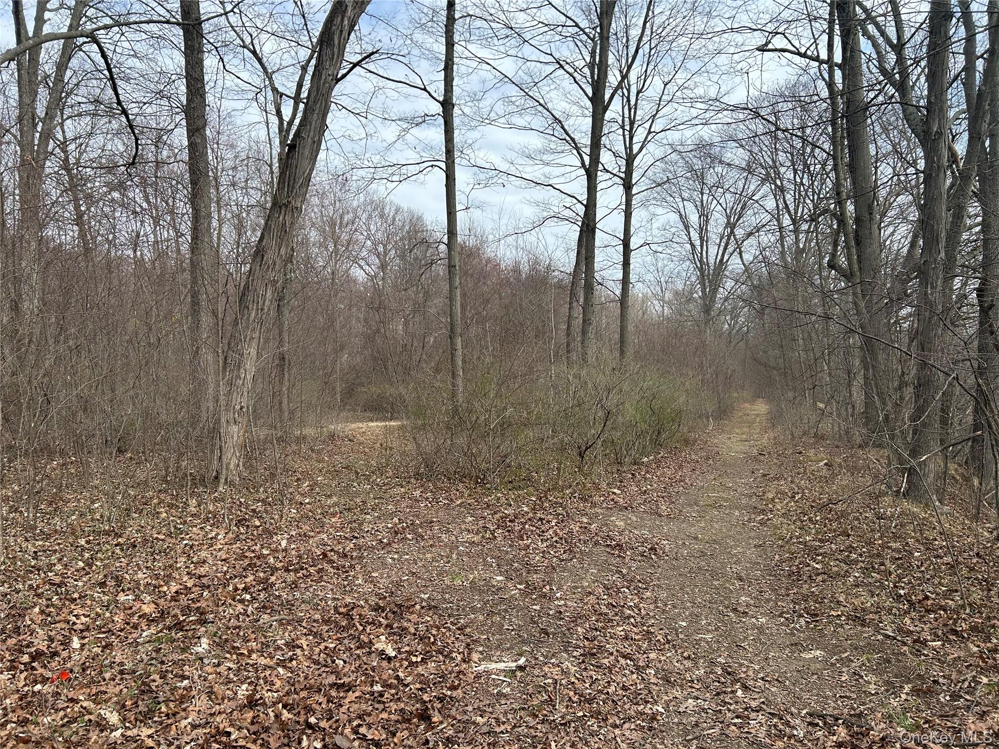 #3 photo, 67 Jackson Road, Poughkeepsie , NY 12603