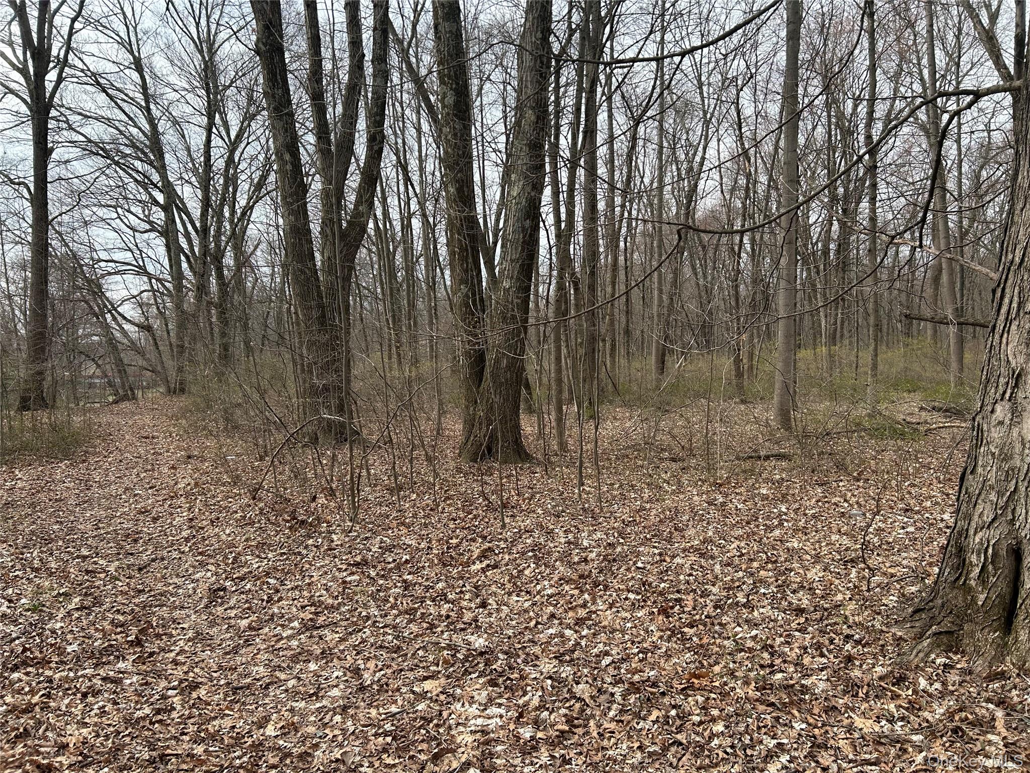 #5 photo, 67 Jackson Road, Poughkeepsie , NY 12603