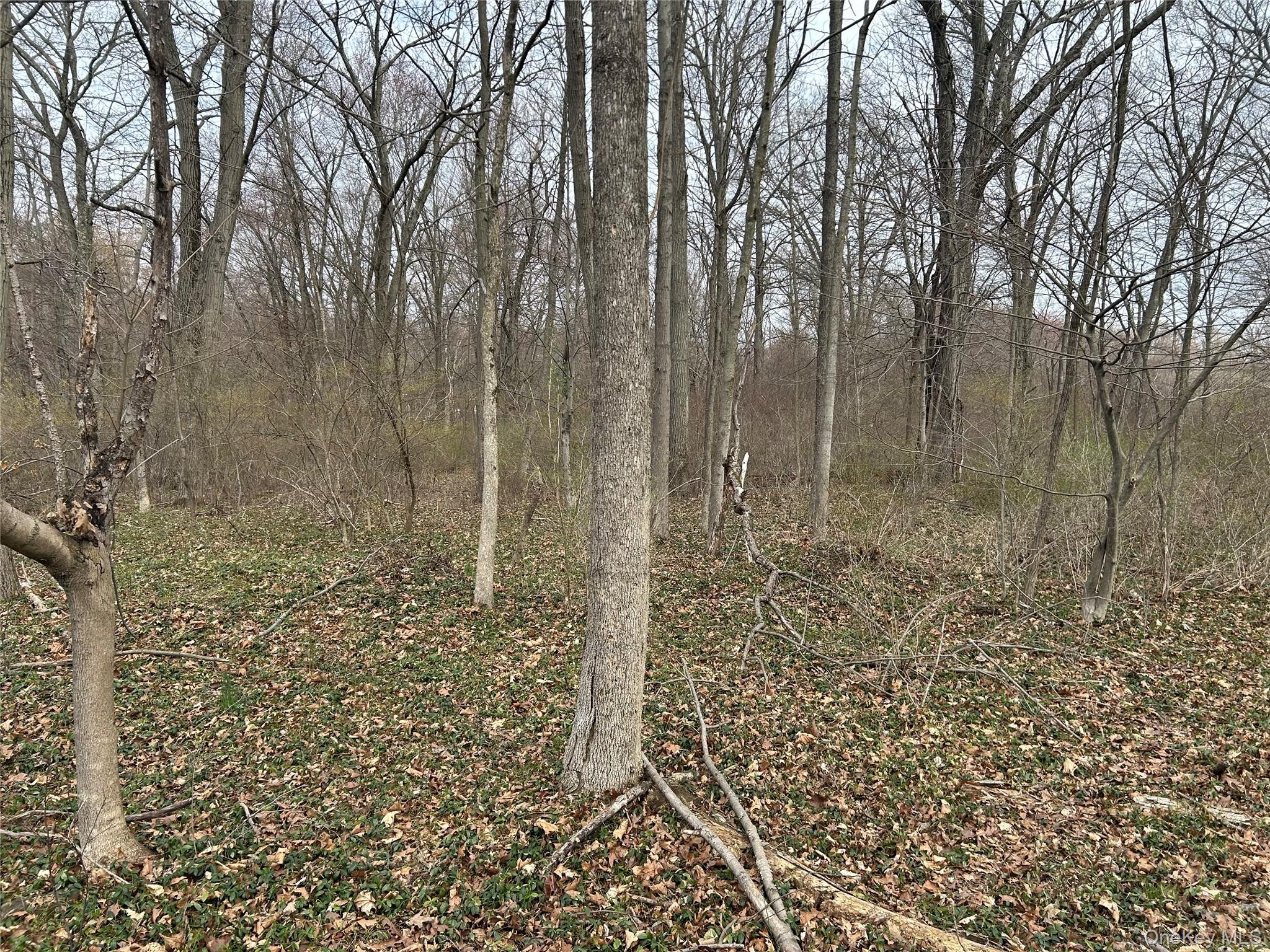 #7 photo, 67 Jackson Road, Poughkeepsie , NY 12603