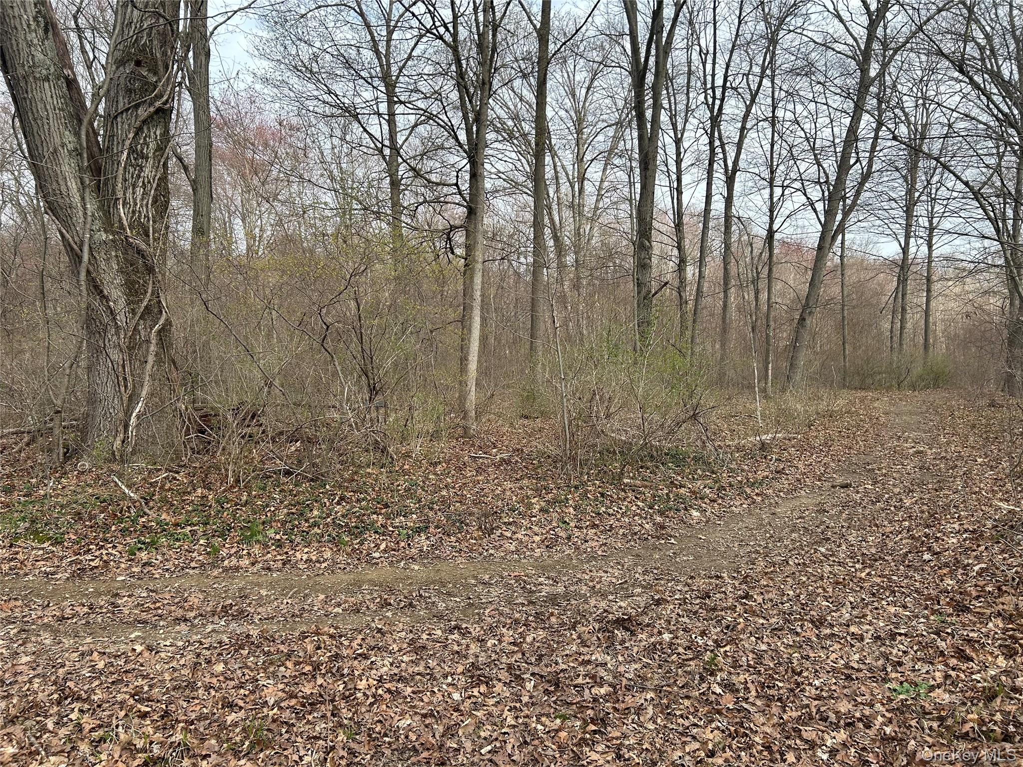 #8 photo, 67 Jackson Road, Poughkeepsie , NY 12603