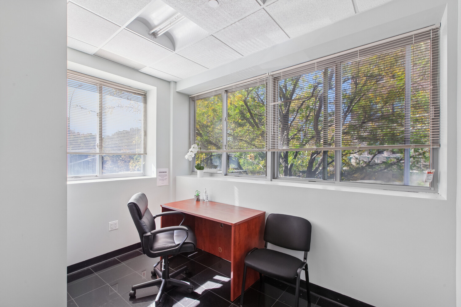 #5 photo, 55 GREENE Avenue, 布鲁克林 格林堡 Fort Greene , NY 11238