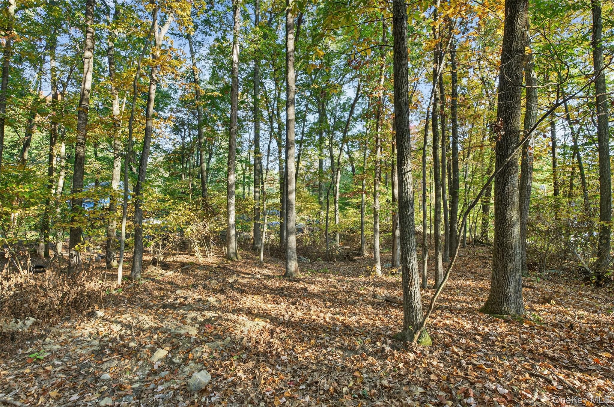 #3 photo, 748 State Route 44 55, Highland , NY 12528