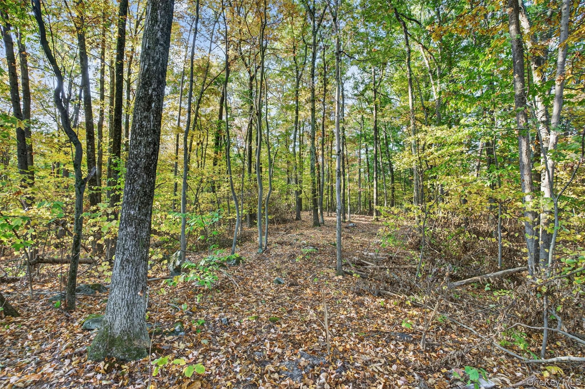 #4 photo, 748 State Route 44 55, Highland , NY 12528