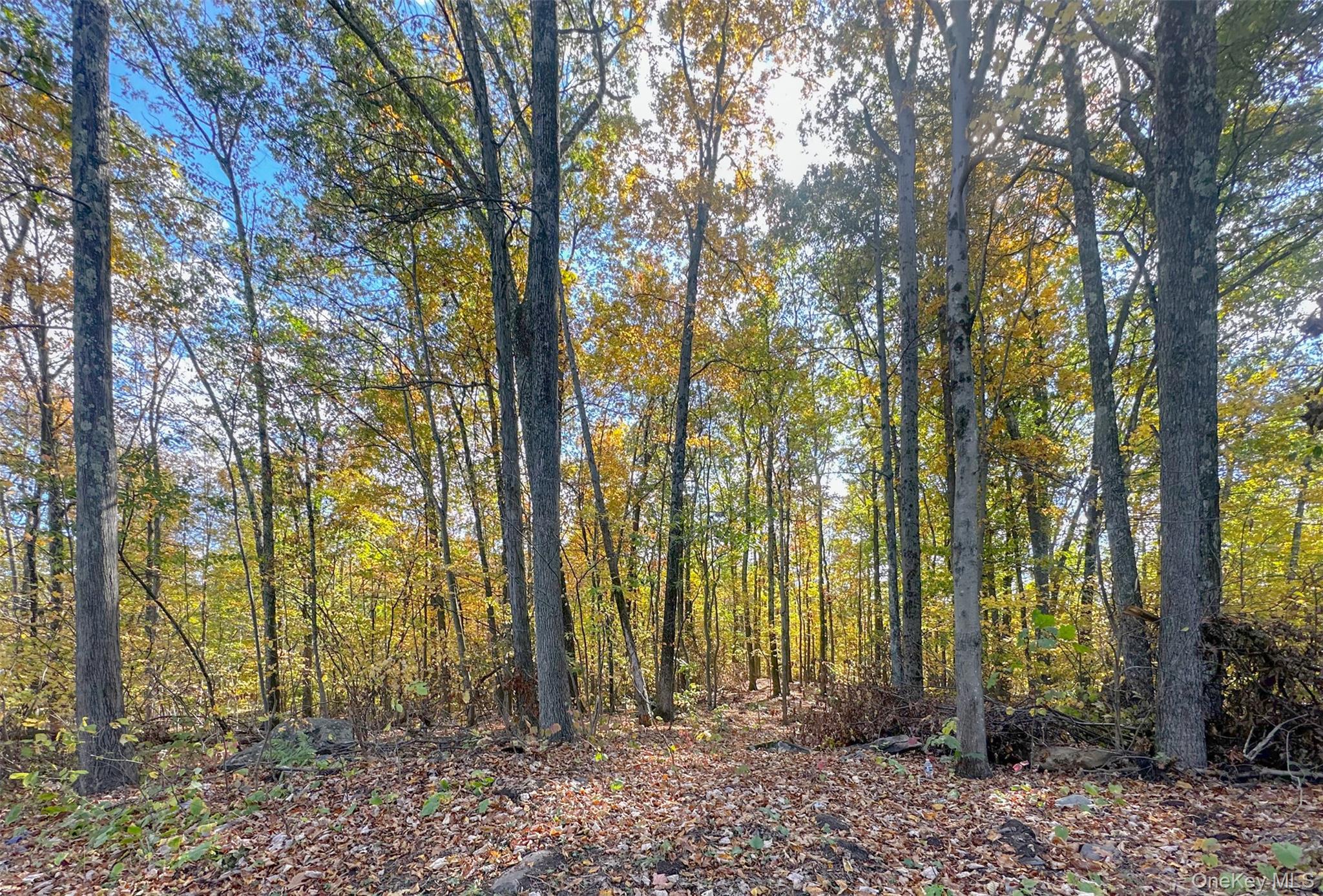 #5 photo, 748 State Route 44 55, Highland , NY 12528