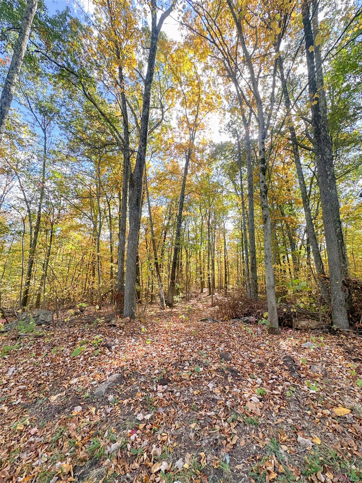 #6 photo, 748 State Route 44 55, Highland , NY 12528