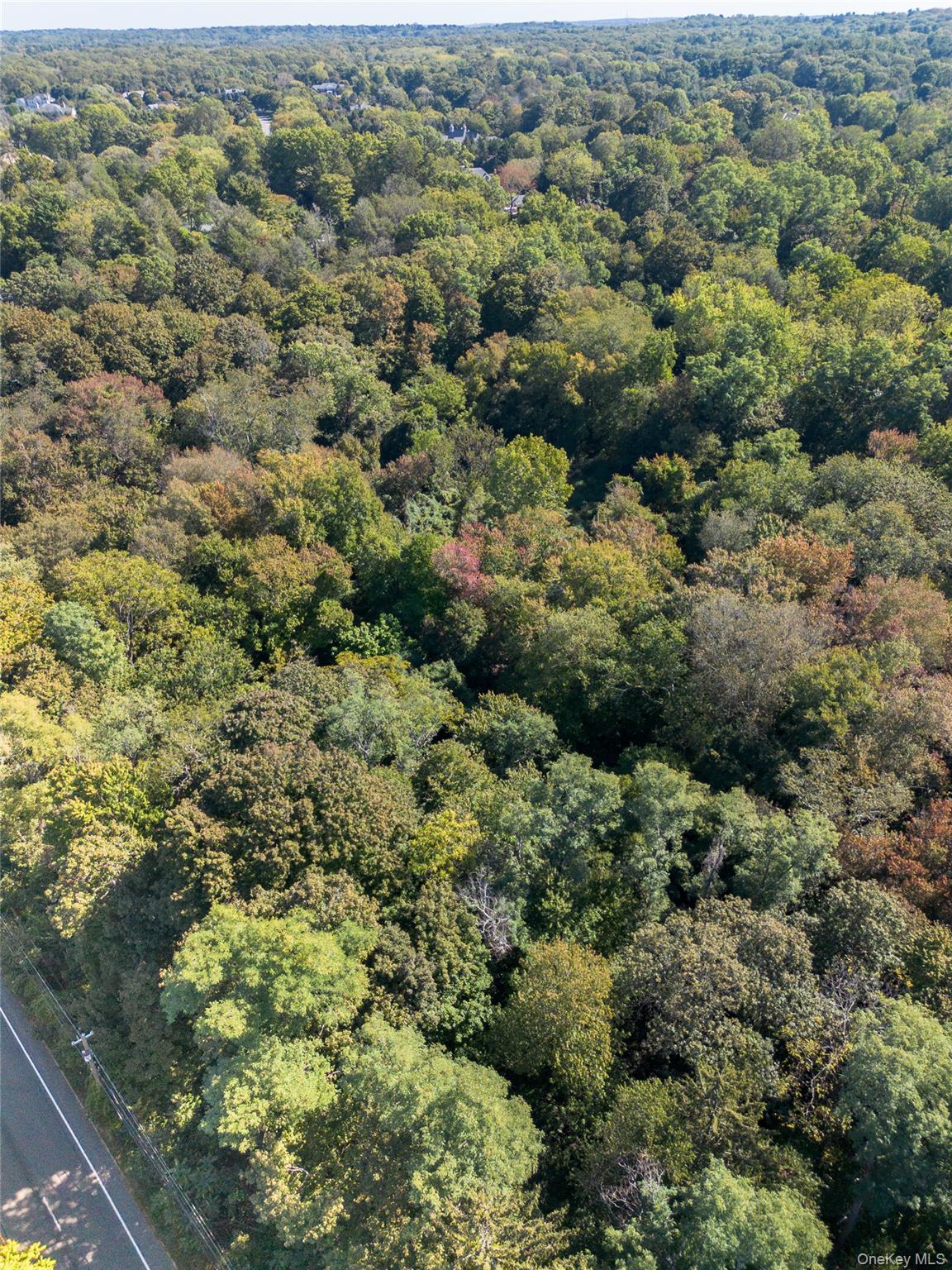 #2 photo, 5694 Northern Boulevard, ナッソー郡 East Norwich , NY 11732