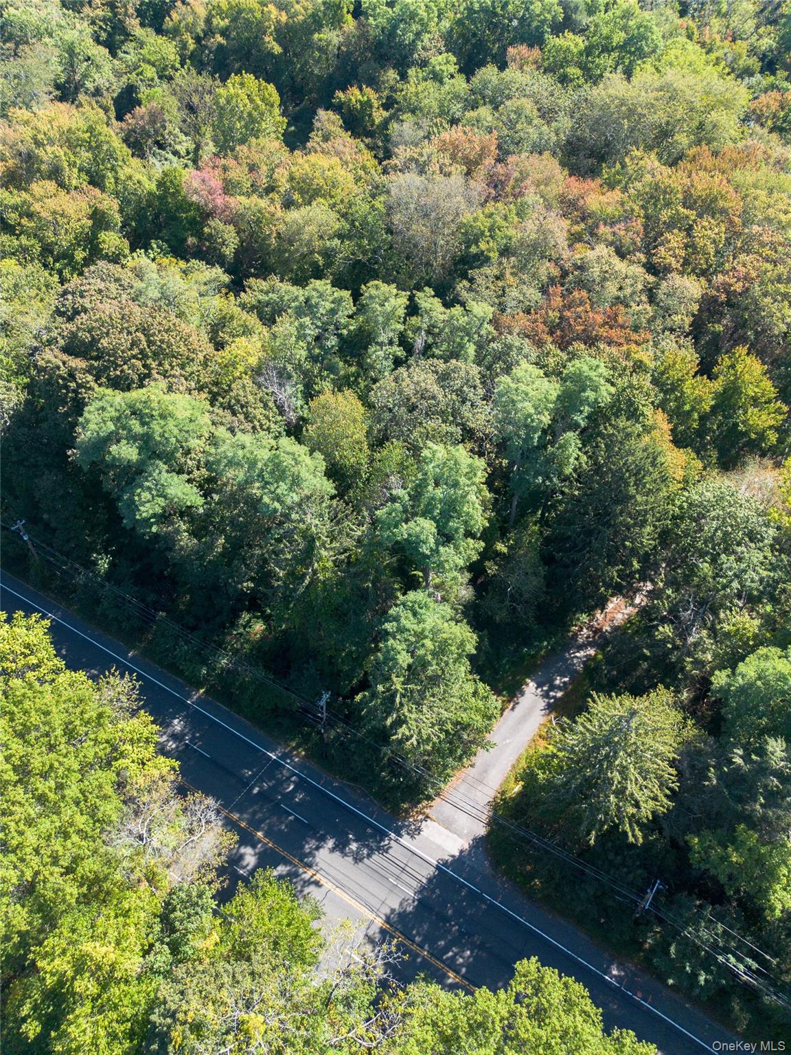 #3 photo, 5694 Northern Boulevard, ナッソー郡 East Norwich , NY 11732