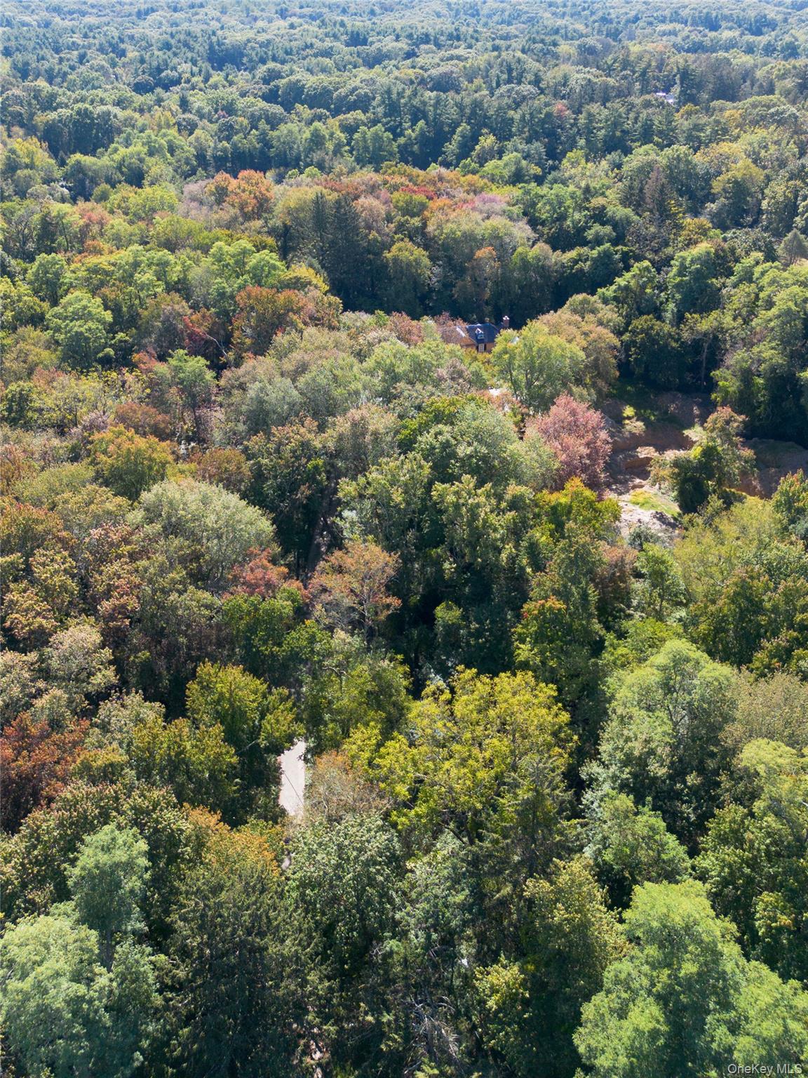 #4 photo, 5694 Northern Boulevard, ナッソー郡 East Norwich , NY 11732