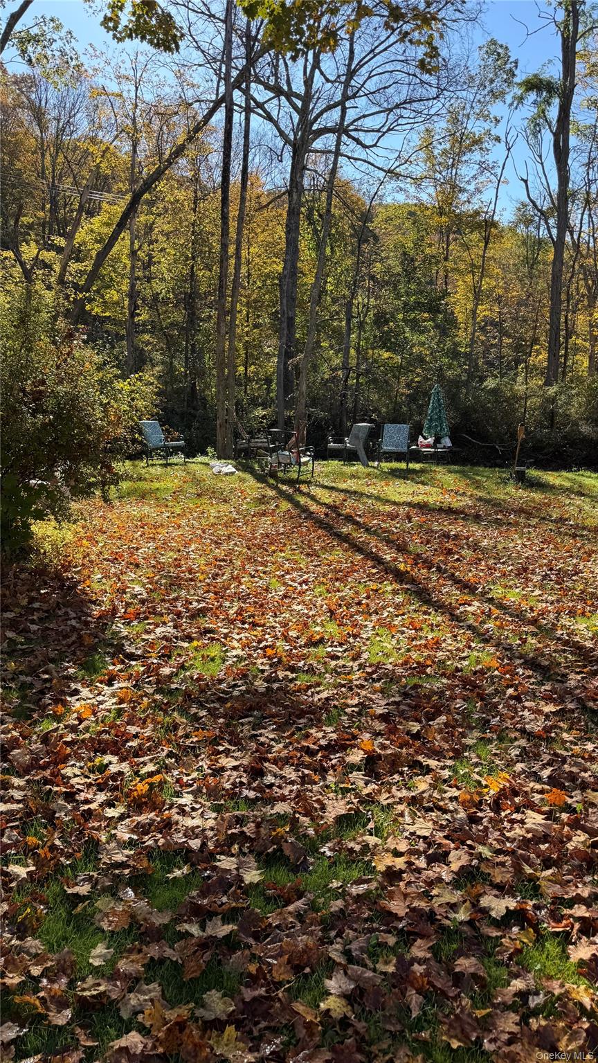 #14 photo, 18 Blue Heron Lane, Staatsburg , NY 12580